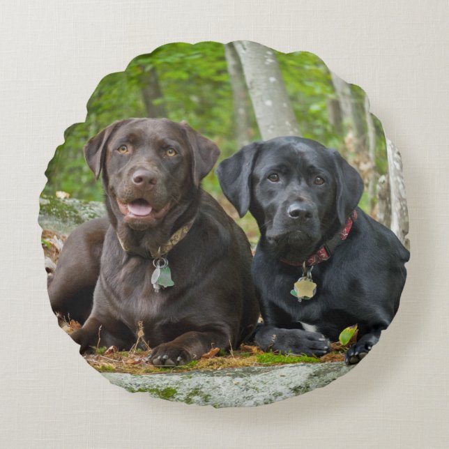 Coussins Ronds Chiens Chiens Marionnettes Black Lab Chocolat Labr (Devant)