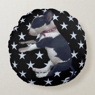 COUSSINS RONDS CHIOT ENDORMI