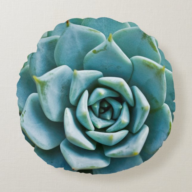Coussins Ronds Closeup Succulent (Devant)