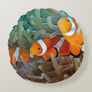 Coussins Ronds Clownfish