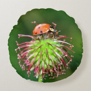 Coussins Ronds Coccinelle