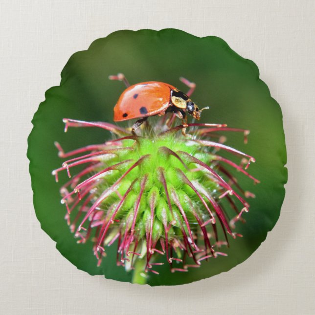 Coussins Ronds Coccinelle (Devant)