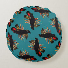 Cockatoo noir vintage | Elizabeth Gould 1800s