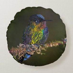 Coussins Ronds Colibri