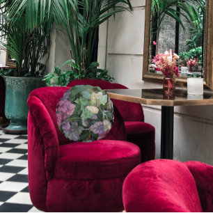 Coussins Ronds Colorful Heuchera Plante Feuille Botanique