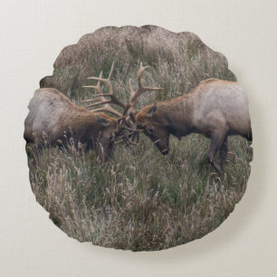 COUSSINS RONDS COMBATTRE LES CERFS