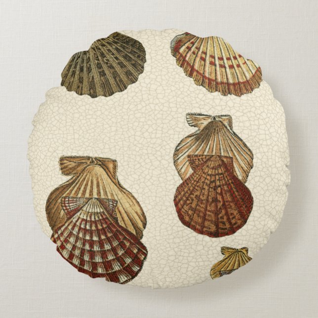 Coussins Ronds Coquilles antiques craquelées (Devant)