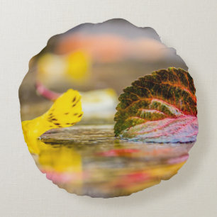 Coussins Ronds Couleurs d'automne