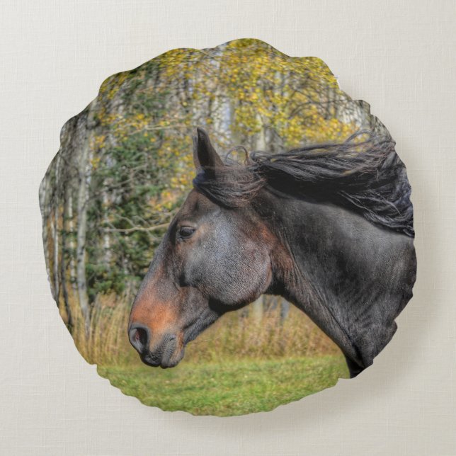 Coussins Ronds Courir Percheron noir HDR Horse Equine Photo (Dos)