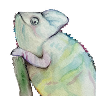Coussins Ronds Cute caméléon peint en aquarelle