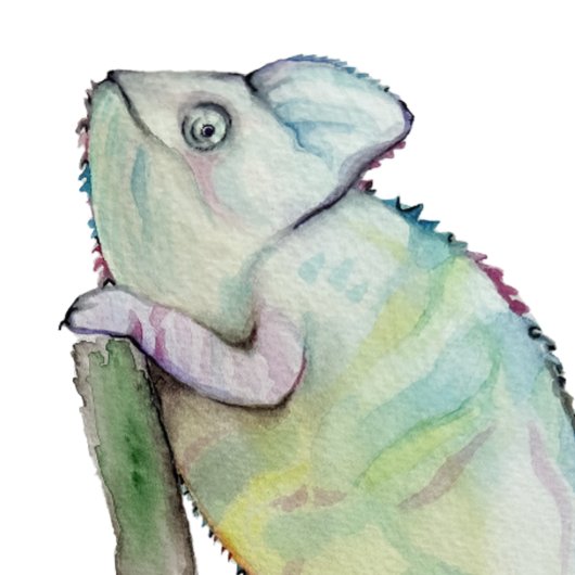 Coussins Ronds Cute caméléon peint en aquarelle