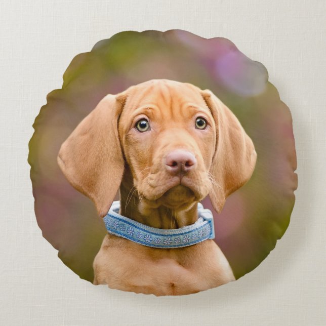 Coussins Ronds Cute chiot hué Hongrois Vizsla Chien Chien Chien P (Devant)