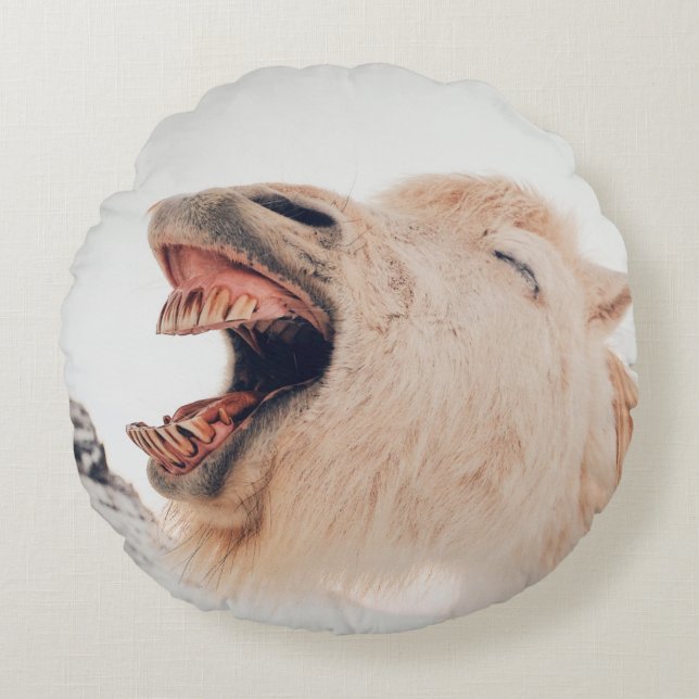 COUSSINS RONDS CUTE LAMA ALPACA RIRE (Devant)