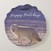 Cute White Arctic Fox neige hiver Photographie