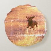 Coussins Ronds Daschund Dog Jumping dans le champ Photo (Dos)