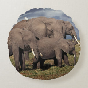Coussins Ronds Éléphant d'Afrique bébé avec sa famille
