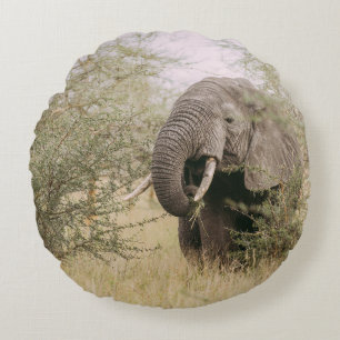 COUSSINS RONDS ÉLÉPHANT MANGEANT D'UN ARBRE
