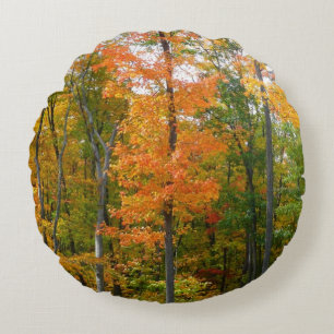 Coussins Ronds Érables en automne Photographie de la nature