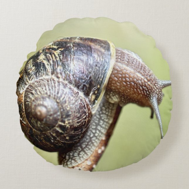Coussins Ronds Escargot - Le Rich Delight (Devant)