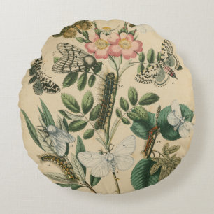 Coussins Ronds Étapes de la vie de papillon par le studio de
