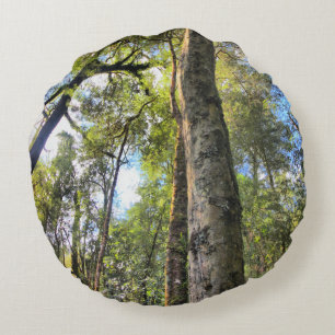Coussins Ronds Eucalyptus gommiers de la forêt pluviale australie
