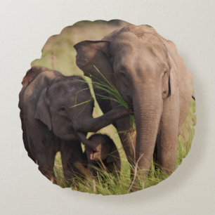 Coussins Ronds Famille d'éléphants d'Asie indiens dans la savane
