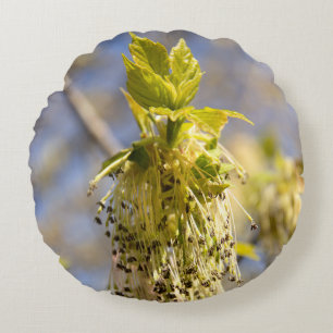 Coussins Ronds Feuille mignons en photo de printemps