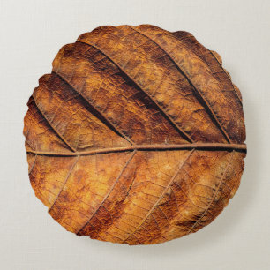 Coussins Ronds Feuille sèche : arrière - plan de texture naturell