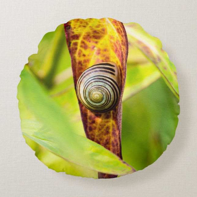 Coussins Ronds fixation calme (Devant)