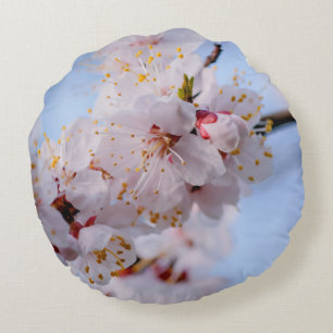 Coussins Ronds Fleur d'abricotier japonais