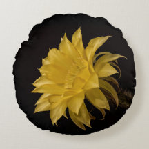 Fleur de cactus jaune en fleurs