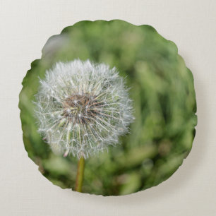 Coussins Ronds Fleur de pissenlit blanc sur herbe verte