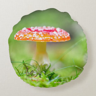 Coussins Ronds Fliegenpilz