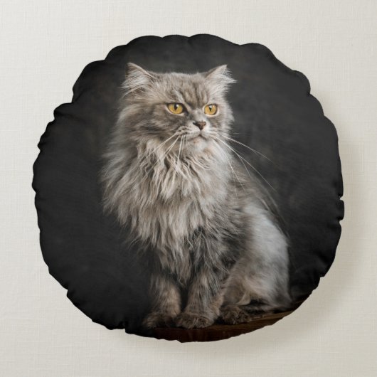 Coussins Ronds Fluffy Gris (Devant)