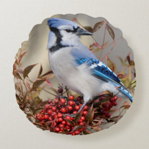 Coussins Ronds Geai bleu dans le bambou céleste Nandina