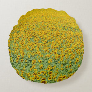 Coussins Ronds Gisement jaune de tournesol
