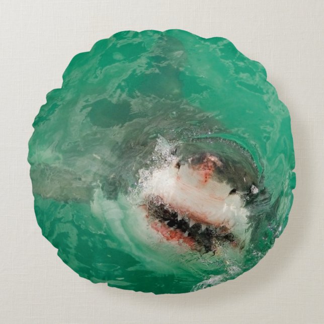 Coussins Ronds Grand blanc Shark1 (Devant)