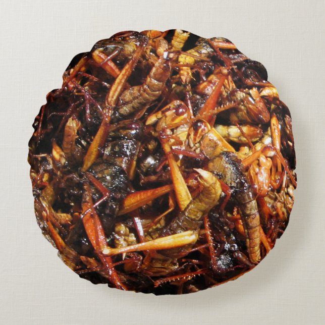 Coussins Ronds Grasshopper frit (Takkataen Thot) Alimentation asi (Devant)