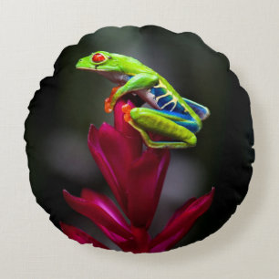 Coussins Ronds Grenouille aux yeux rouges