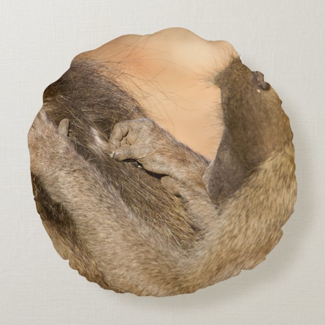 Coussins Ronds Grooming baboons (Dos)