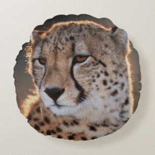 Coussins Ronds Guépard regard détourné