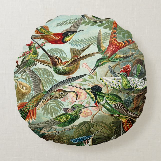 Coussins Ronds Haeckel Trochilidae (Devant)