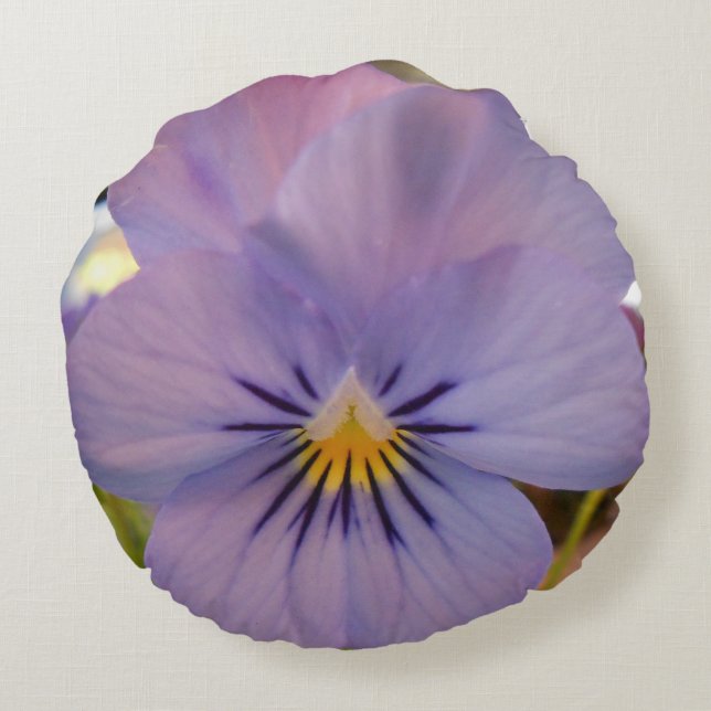 Coussins Ronds Haetzlern (Dos)