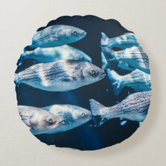 COUSSINS RONDS HERBE DE POISSON