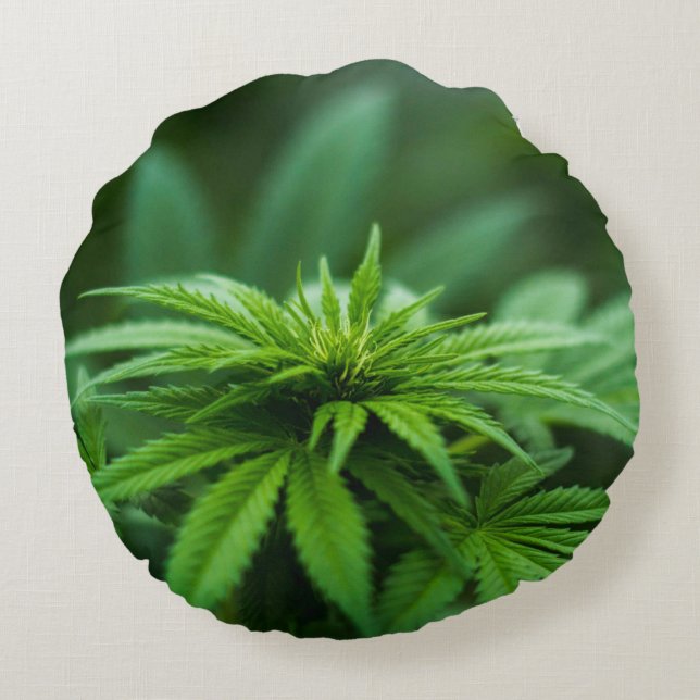 Coussins Ronds Herbe magnifique (Dos)