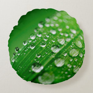 Coussins Ronds Herbe verte à feuilles d'eau