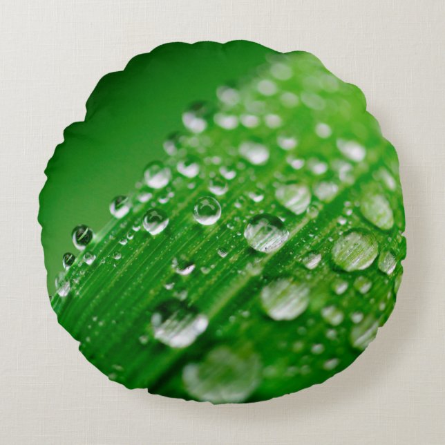 Coussins Ronds Herbe verte à feuilles d'eau (Devant)