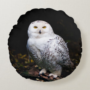 Coussins Ronds Hibou des neiges majestueux en hiver
