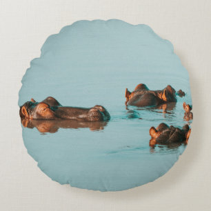 COUSSINS RONDS HIPPOS REFROIDISSANT DANS LE BARRAGE