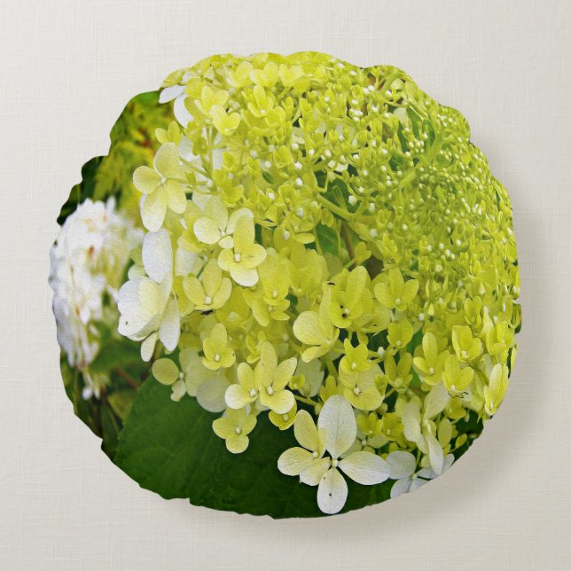 Coussins Ronds Hydrangea Limelight Vert Chartreuse Élégant (Devant)